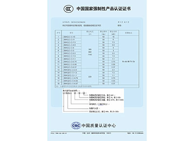 中国国家强制性产品


